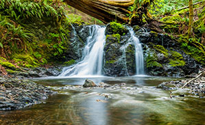 Nachhaltige Werbeartikel mit Logo bedrucken bei laprinta Nachhaltige Werbeartikel, Wasserfall im Wald fließt in einen kleinen Bach