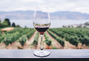 Werbe-Weingläser bedrucken Sie bei laprinta Weinglas mit Rotwein, im Hintergrund Weinberge