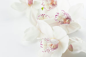 Werbeartikel Wellness bedrucken Sie bei laprinta Weiße Blume mit innen rosa