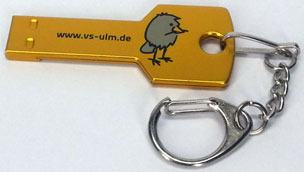USB-Stick Schlüssel, auf Kundenwunsch hin golden eingefärbt und mit einem Weblink sowie einem kleinen Vogel-Logo bedruckt 